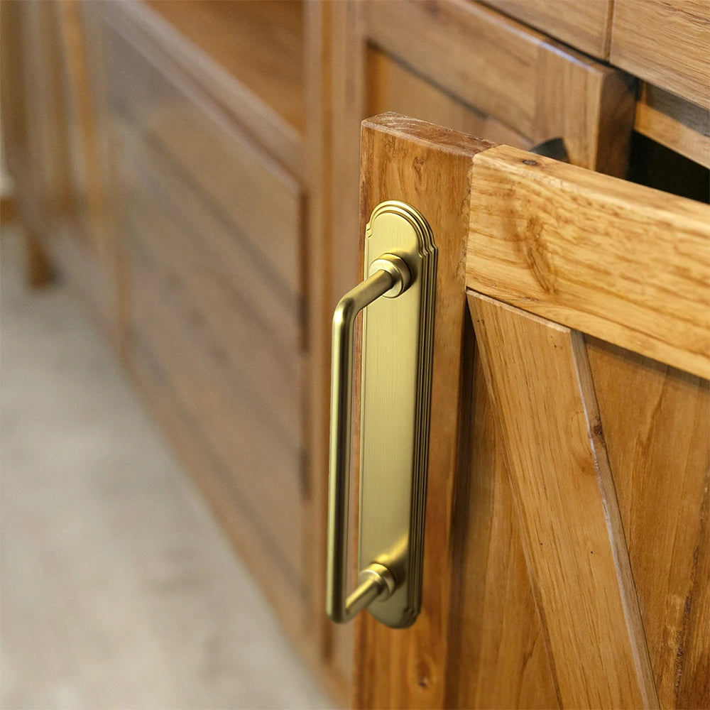 The Orbit Rim Backplate Cabinet Bar Pull (Set of 2) — Oil-Rubbed Bronze, Matte Black & Brushed Brass