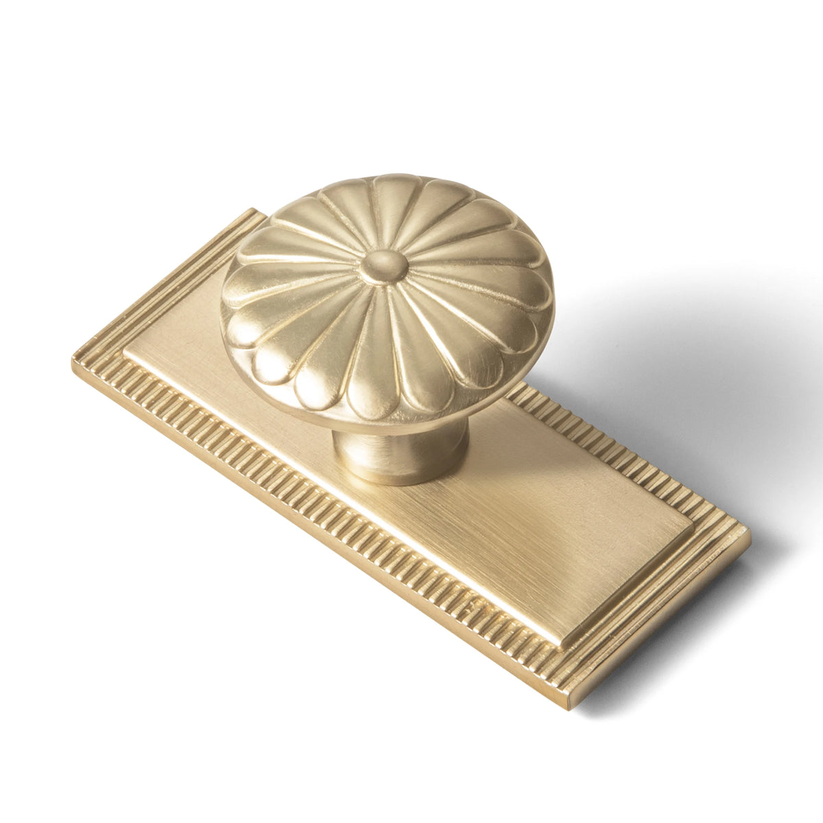 The Serrated Oval Backplate Drawer Knob (6-Pack), 1-3/8" — Brushed Brass