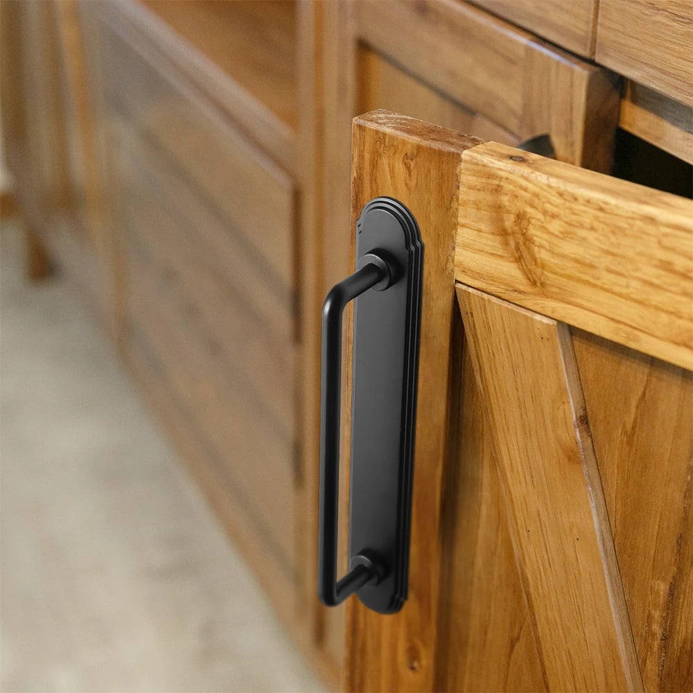 The Orbit Rim Backplate Cabinet Bar Pull (Set of 2) — Oil-Rubbed Bronze, Matte Black & Brushed Brass
