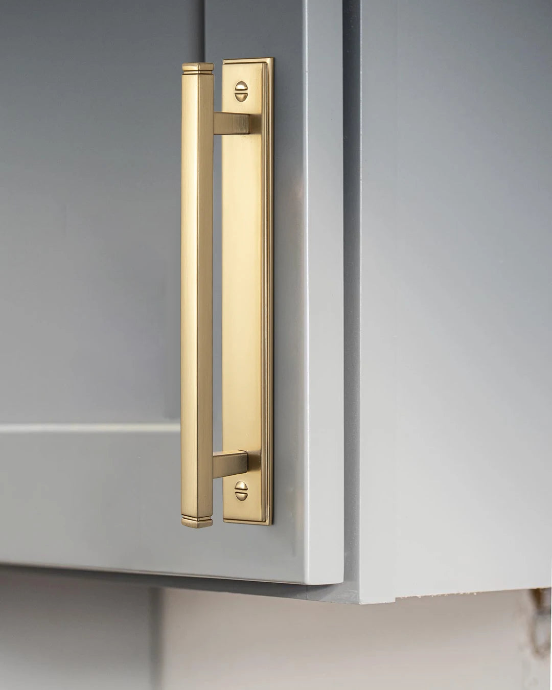 The Backplate Bar Pull (Set of 2) — Brushed Brass