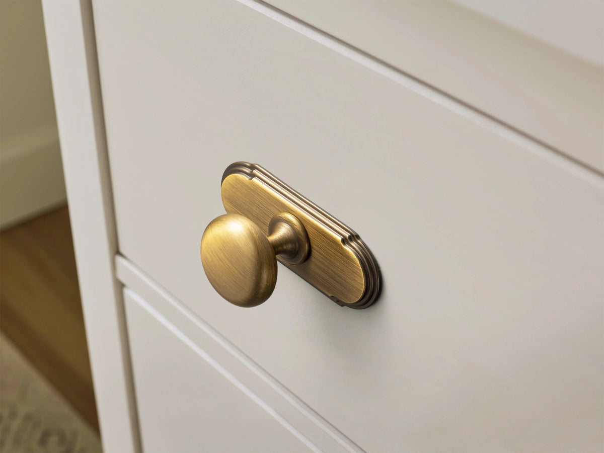 The Single-Hole Backplate Cabinet Knob (6-Pack) — Brushed Brass