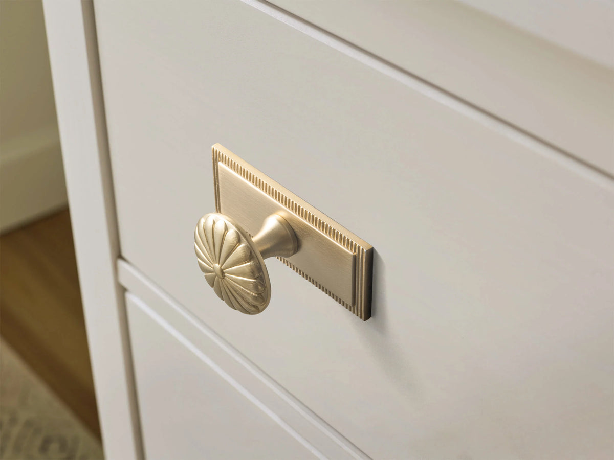 The Serrated Oval Backplate Drawer Knob (6-Pack), 1-3/8" — Brushed Brass